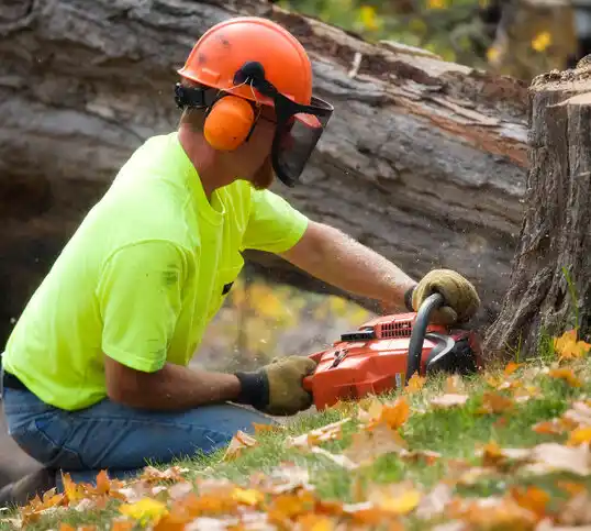 tree services Taneytown